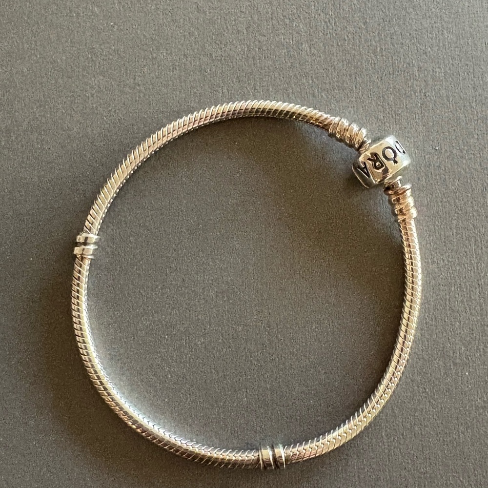Pandora Moments Collection Snake Chain Bracelet